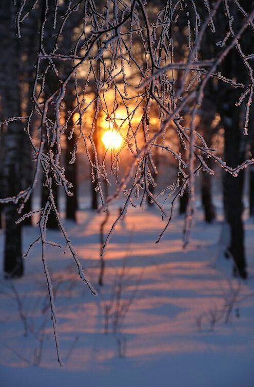 frosty