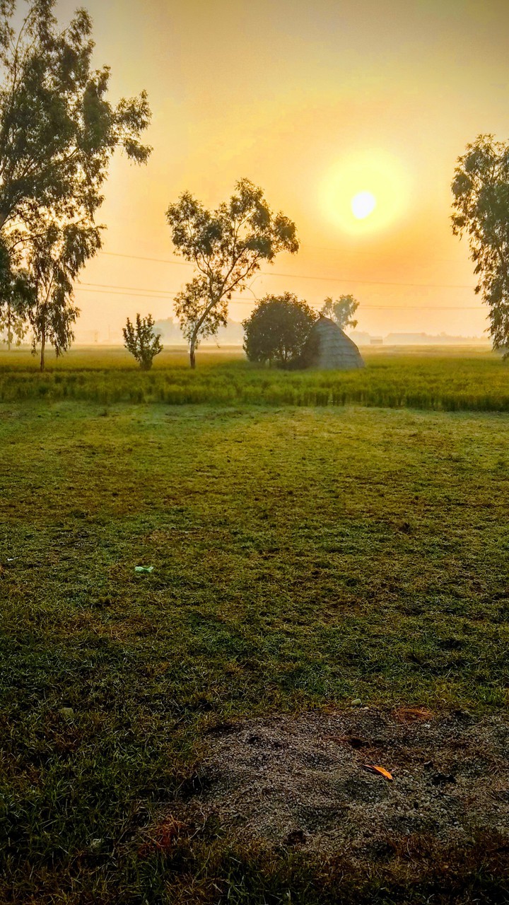 In front of my farm house, it looks like this.