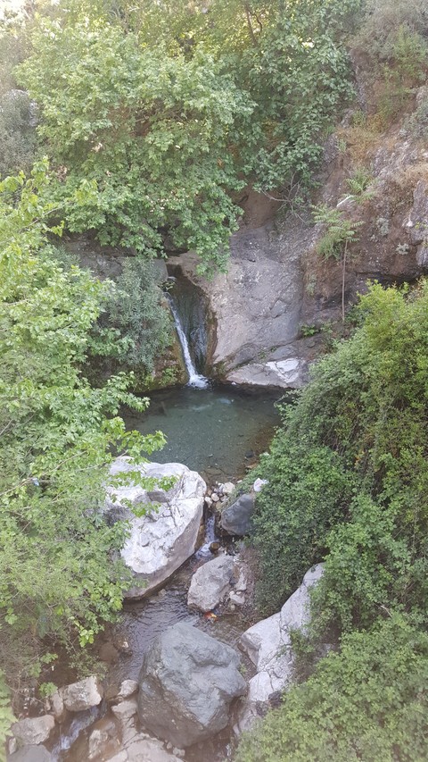 #manisa