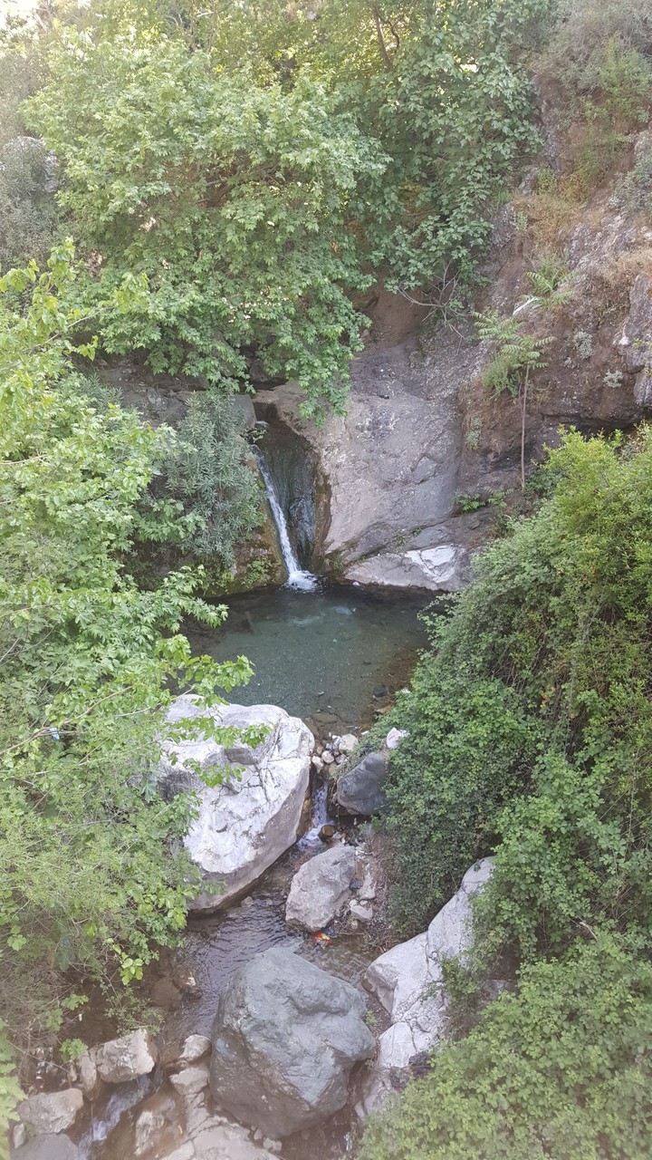 #manisa