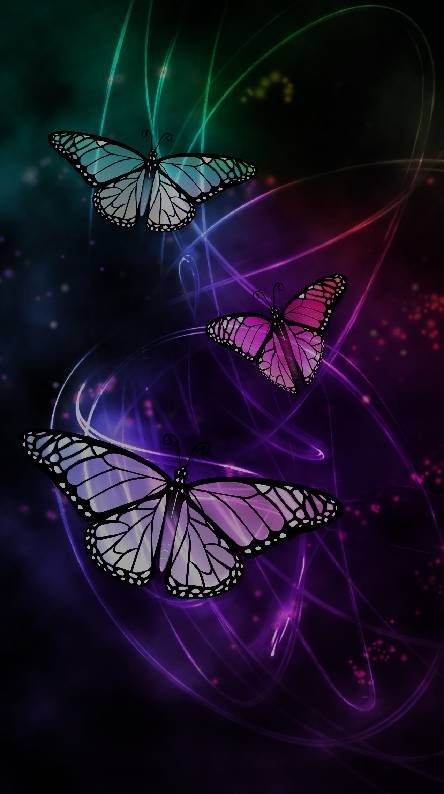 Butterflies ❤