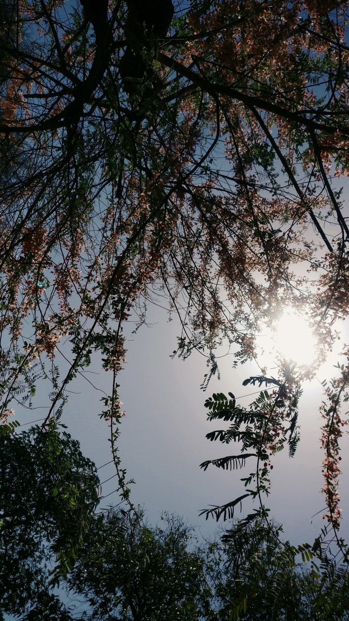 thanks to the sun