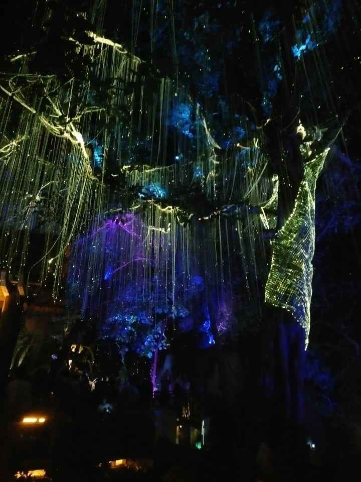 Colorful LED Night