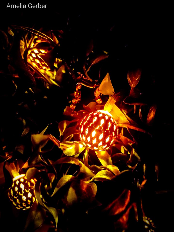 pretty little lights