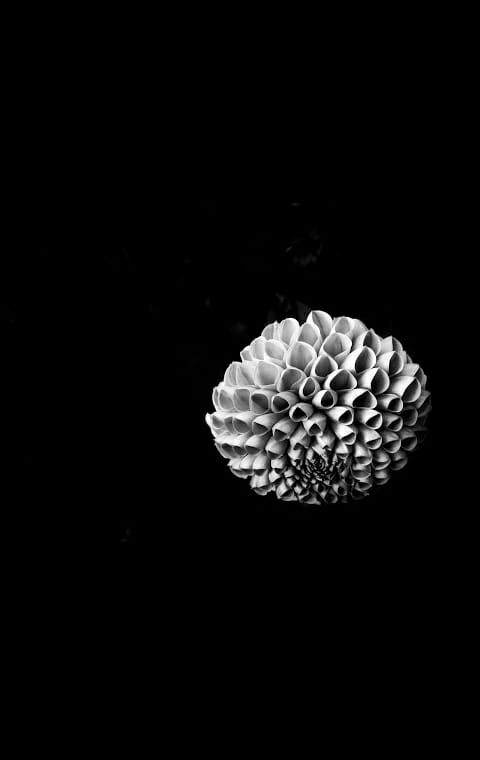 black and white