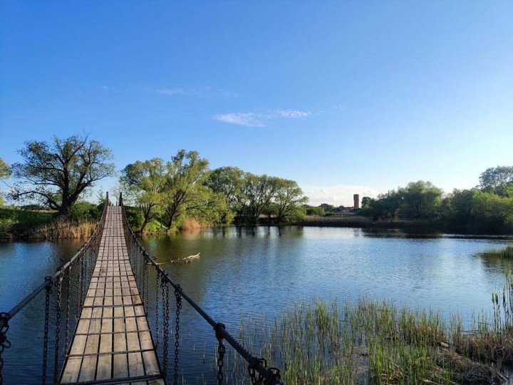 Bridge