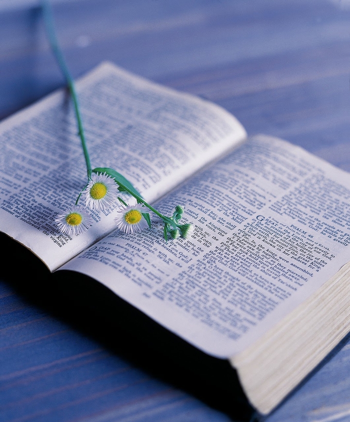Bible Photography