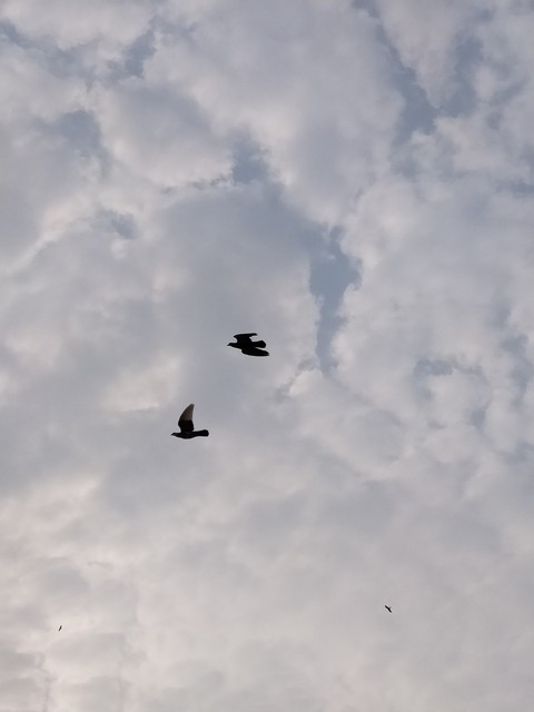 Because sky is the limit
