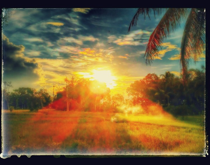 Nature