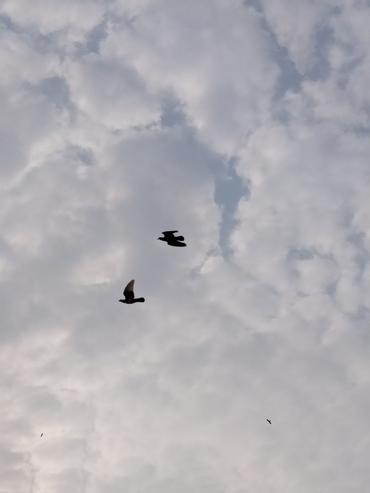 Because sky is the limit