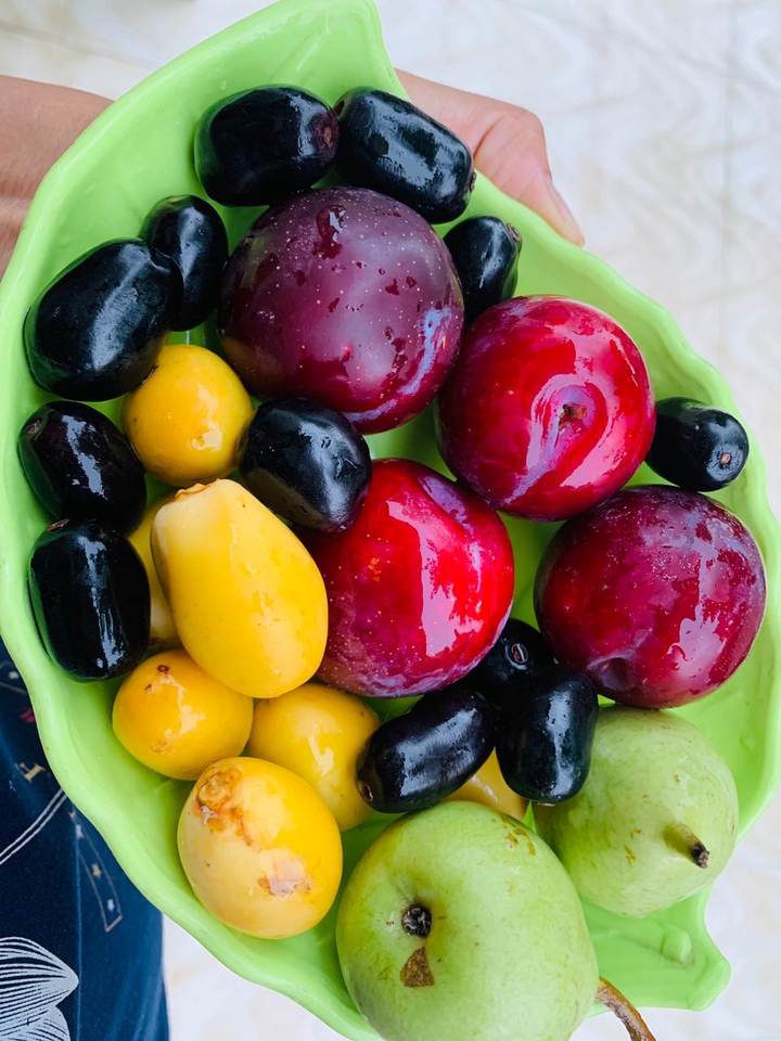 Fruits