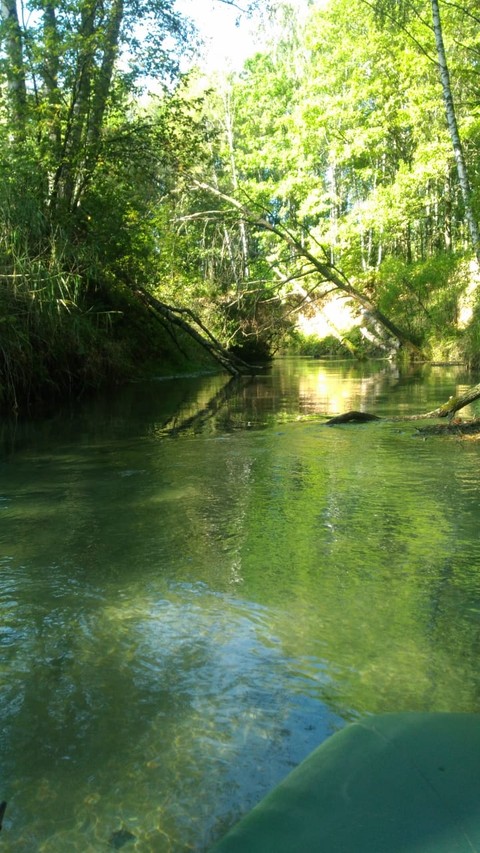 зелень