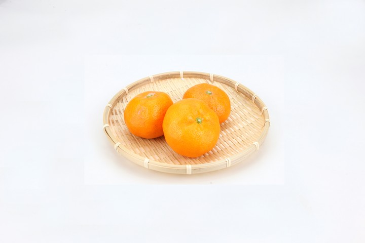 음식이미지