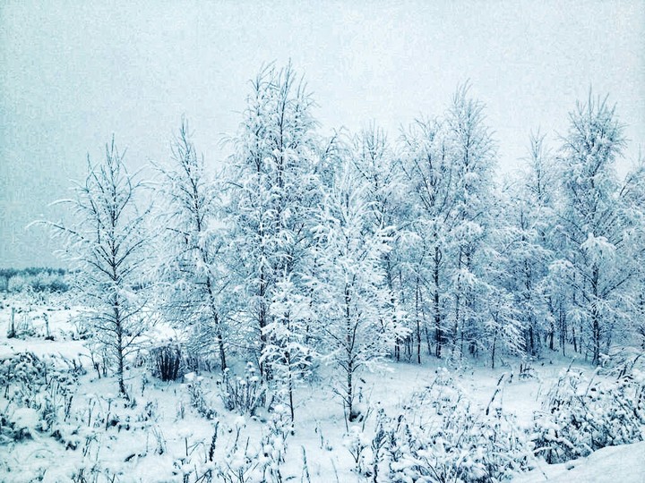 Russian winter