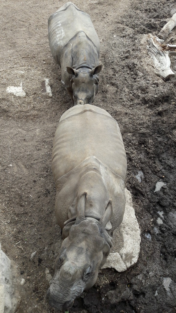 Zoo, Benidorm, Spain