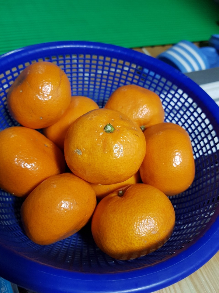 oranges