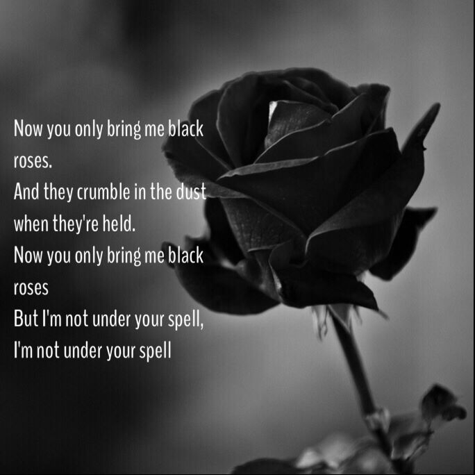 Black rose