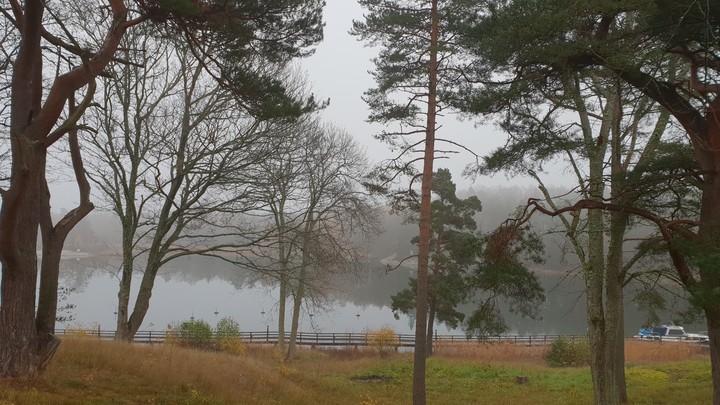 Hösten