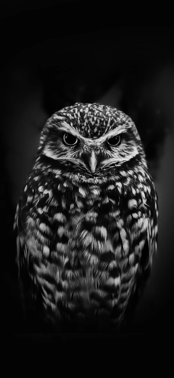 Night hunter!!