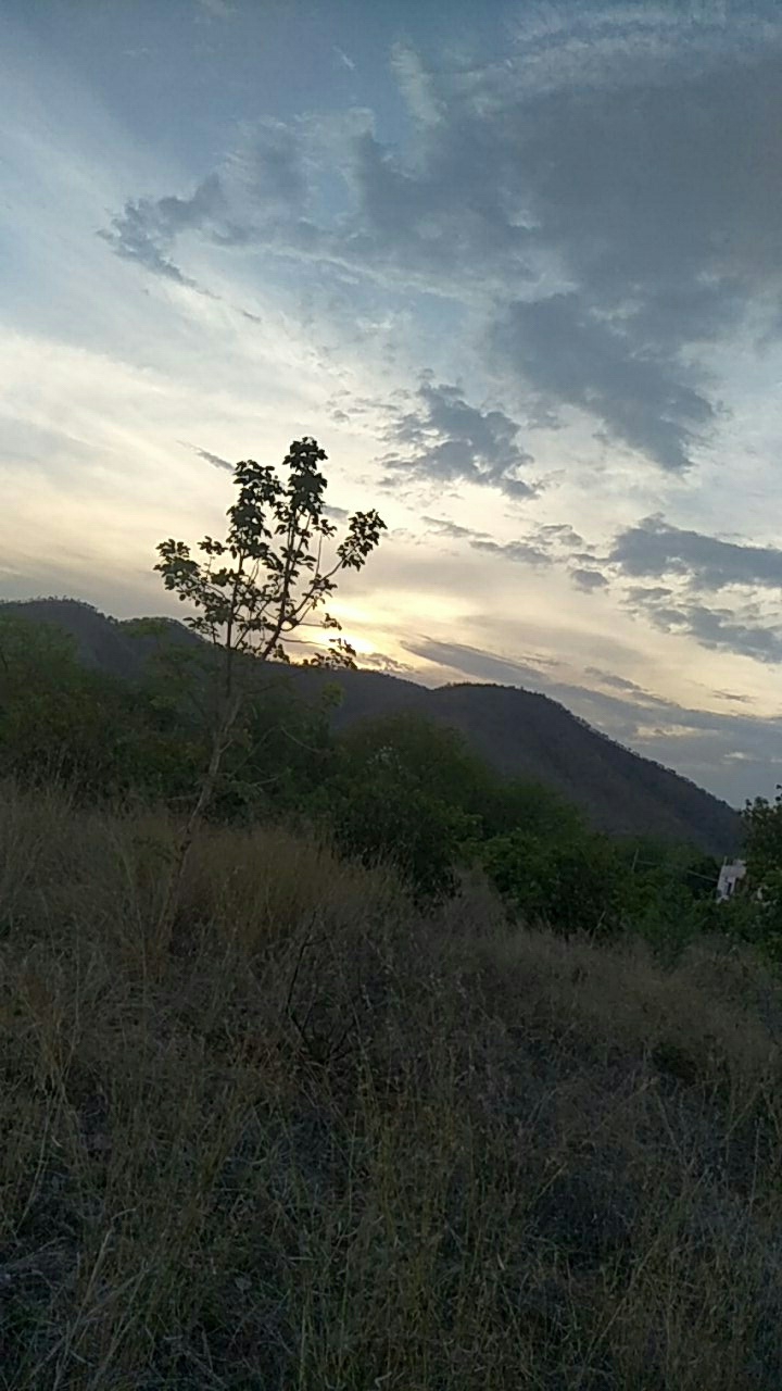 nature