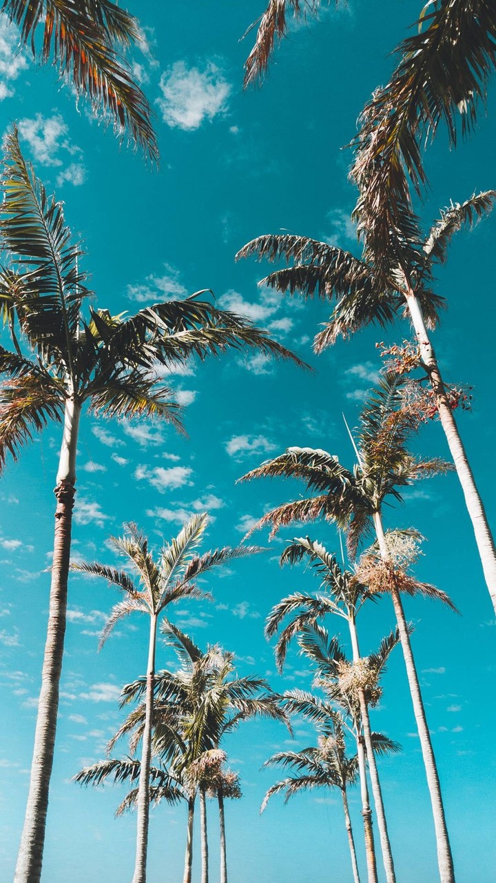 Florida