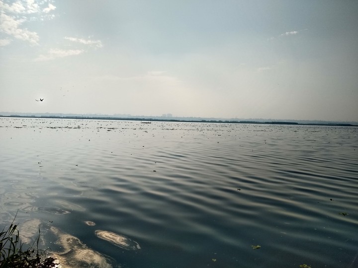 Lake