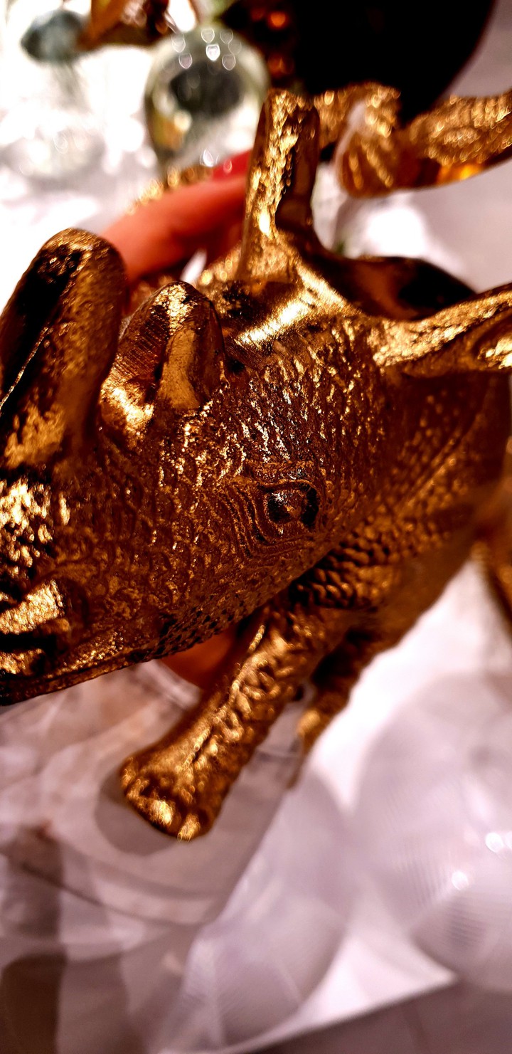 rhino