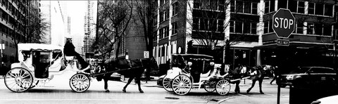 Great Old Chicago