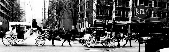 Great Old Chicago