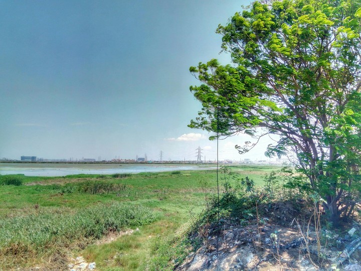 Pallikaranai Wetlands