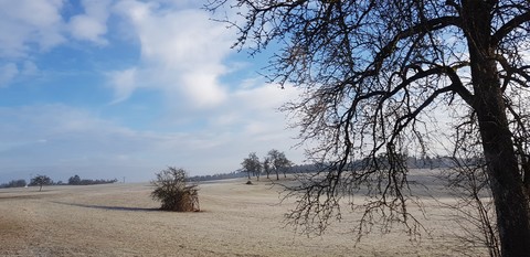 Wintertime