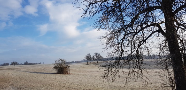 Wintertime