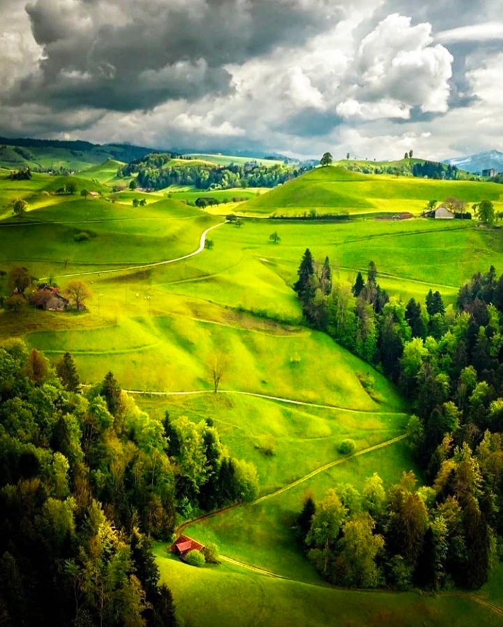 Swiss nature