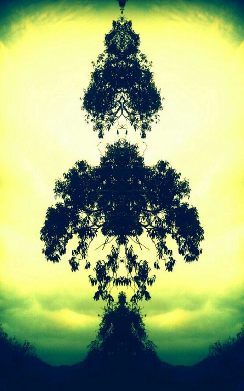 Ghosts tree