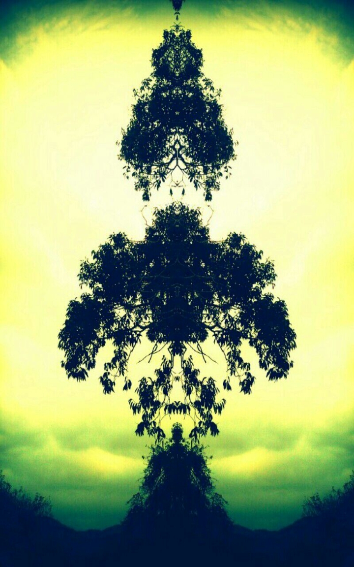 Ghosts tree