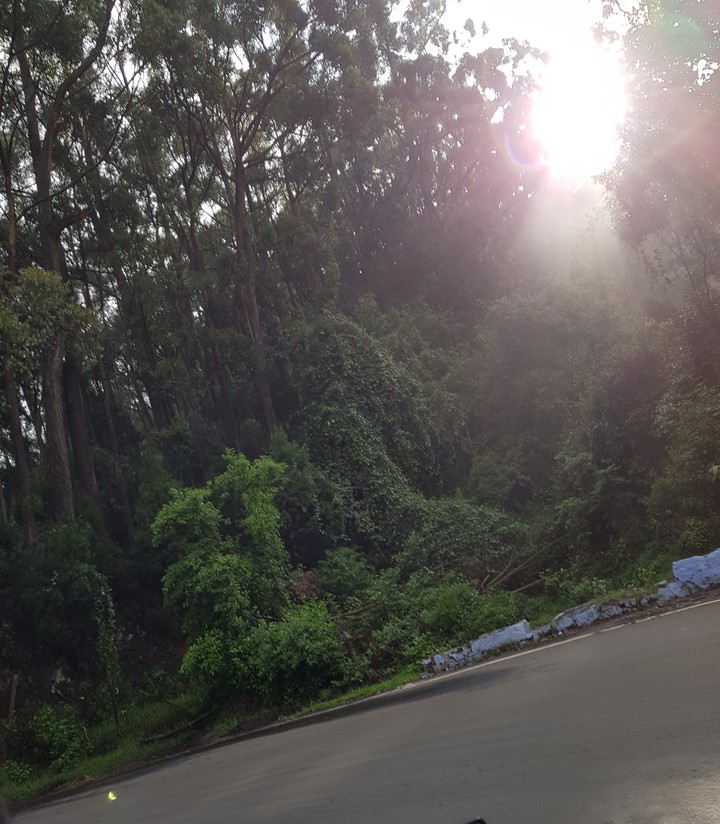 light from heaven