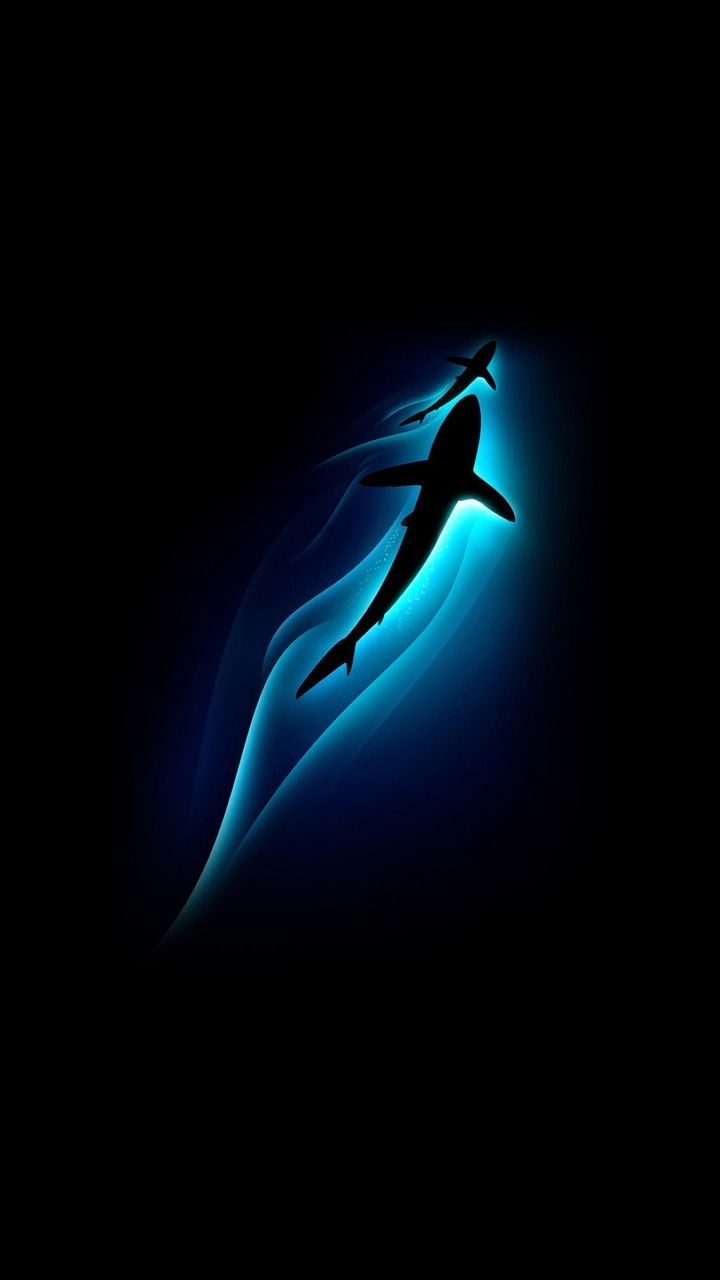whale