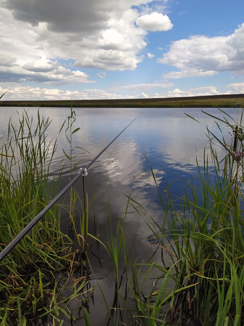 Рыбалка
