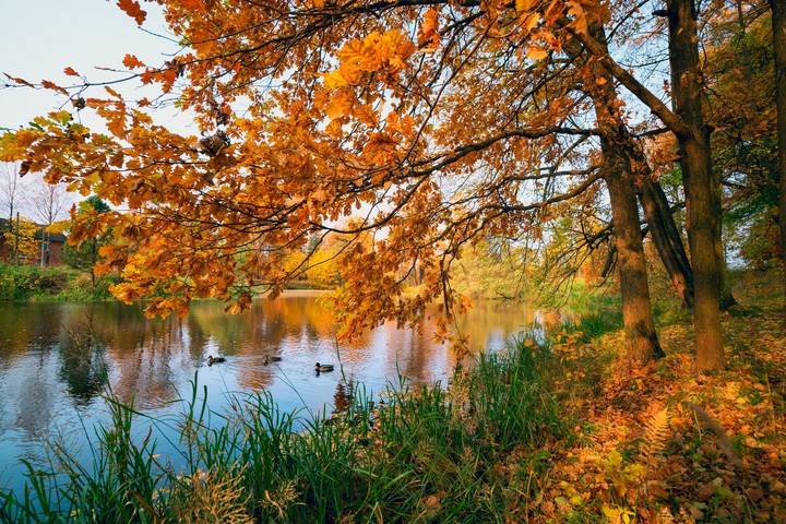 Autumn