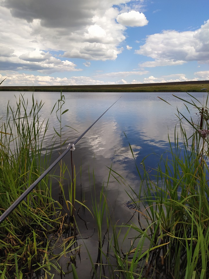 Рыбалка