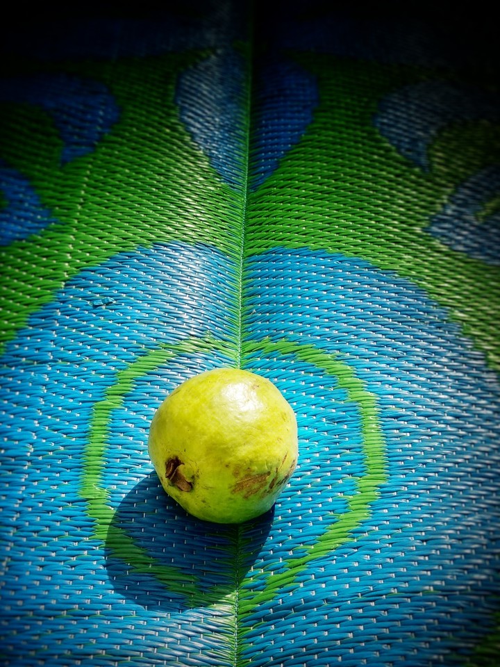 fruits make you fot and healthy