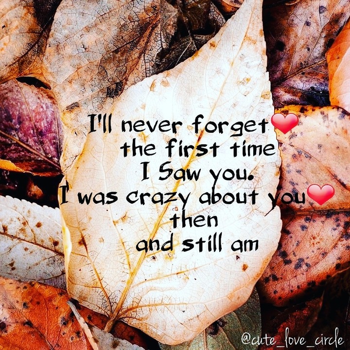 love quotes