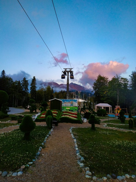 landscapes, tree वॉलपेपर