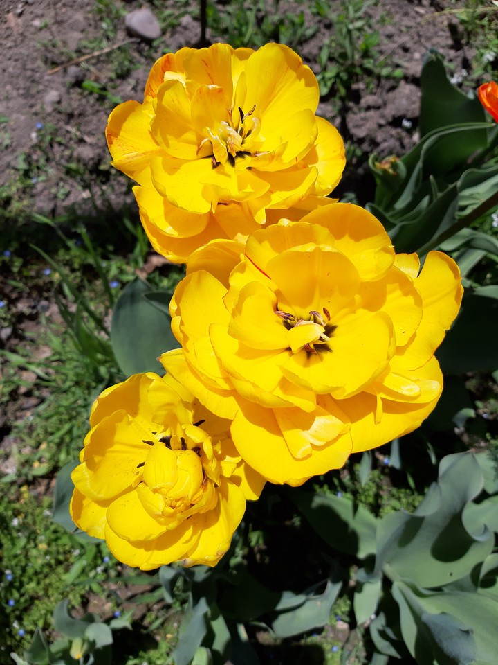 ☀️