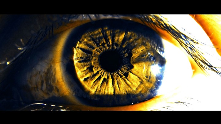 New Sight