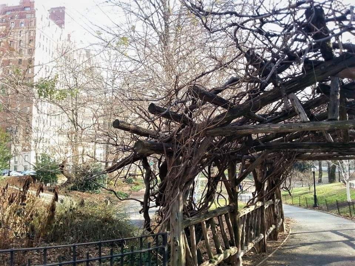 Central Park N.Y.