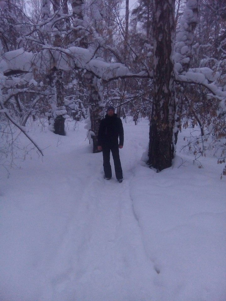 Зимний лес.
