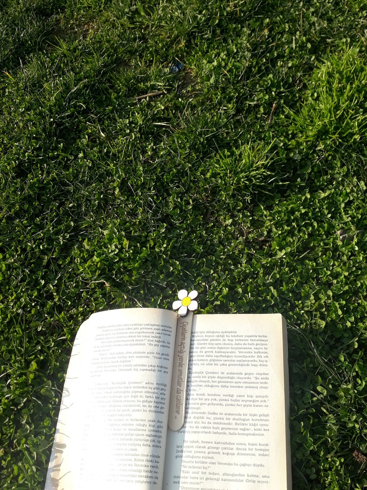 Çiçeklerin açtığı yerde umutlar da canlanır.