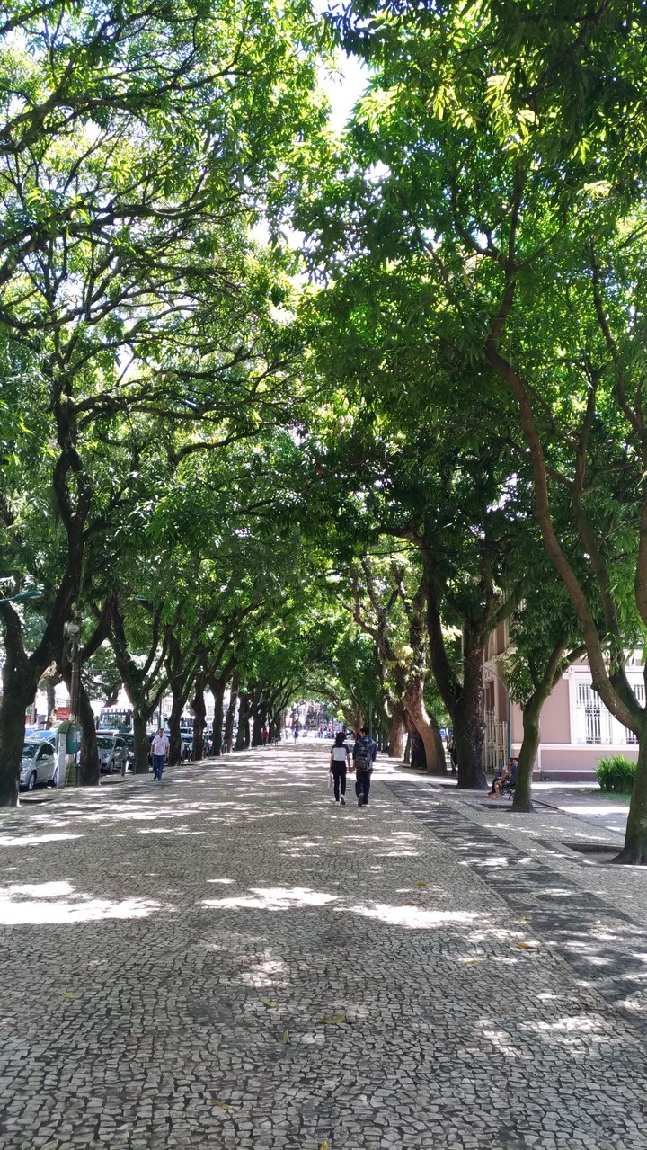 Praça da república. Belém do Pará