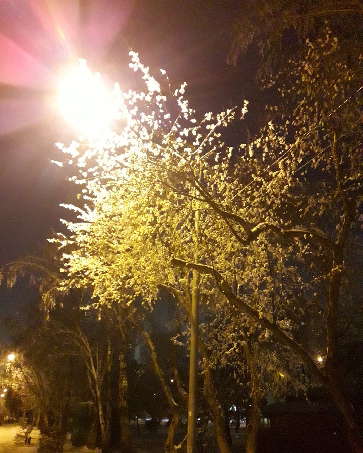 Snow in Irkutsk